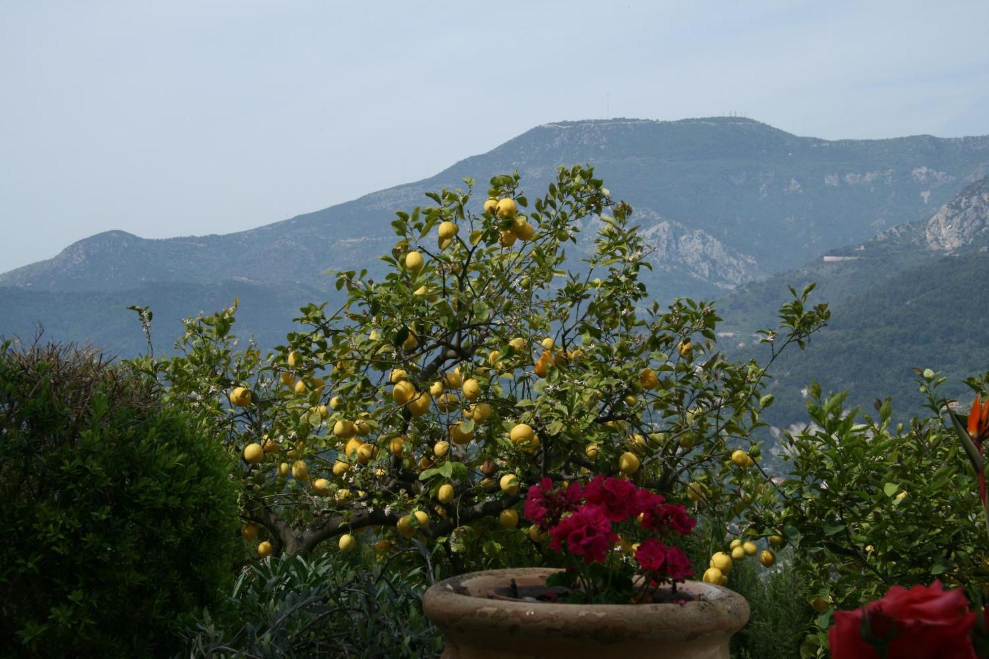 L'Aleandra Hotel Castellar Exterior photo