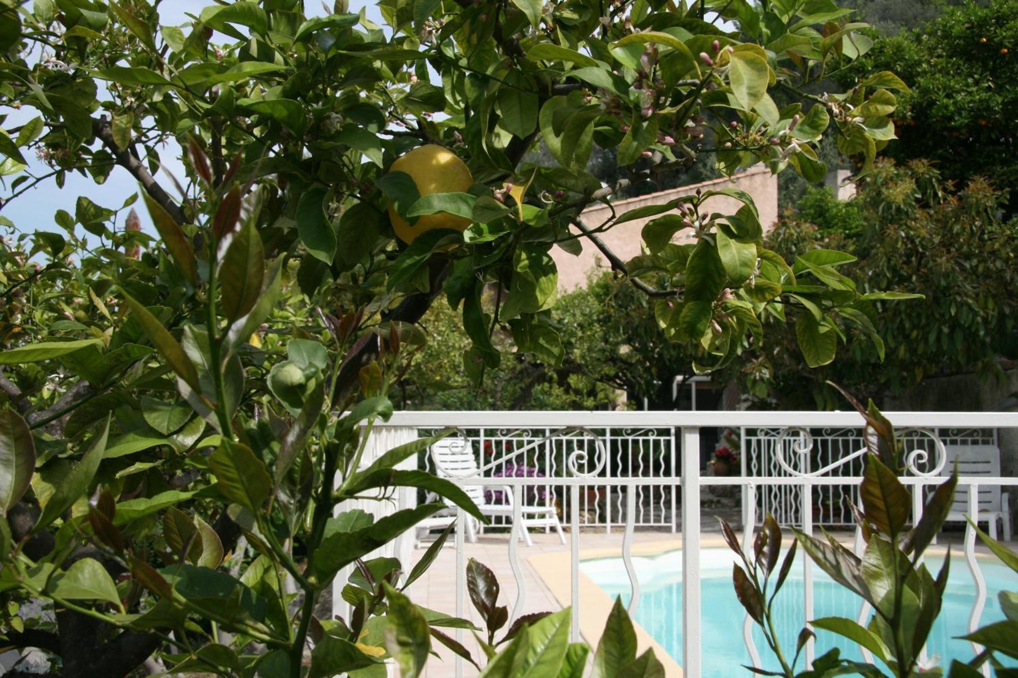 L'Aleandra Hotel Castellar Exterior photo